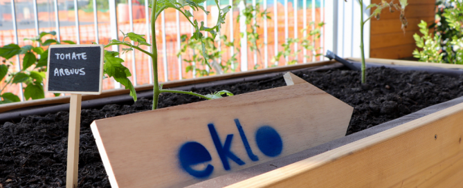 Eklo, le 5e hôtel le plus écologique de France est ouvert à Bastide Niel